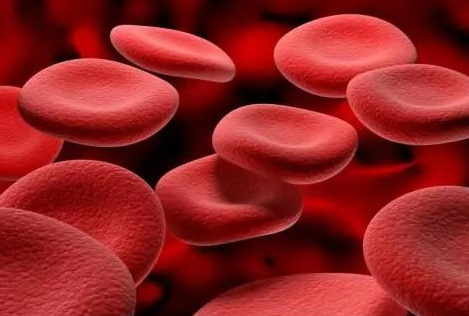 医用中文字幕麻豆厂家介绍铁元素的作用