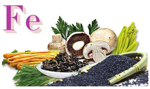 中文字幕麻豆品牌谈铁元素的作用