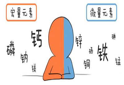 全自动麻豆传媒三级片介绍缺少微量元素的危害