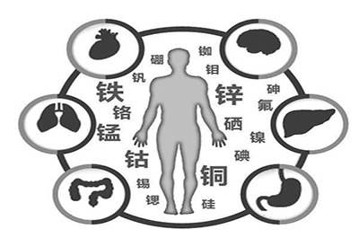 全自动中文字幕麻豆厂家微量元素在人体中起到哪些作用