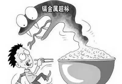 2020/1/4-全自动中文字幕麻豆-国康-镉元素对人体的作用有哪些