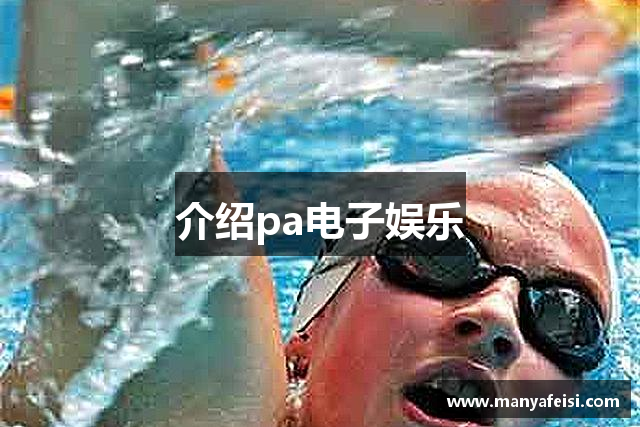 介绍pa电子娱乐